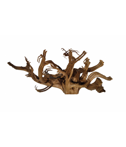 Karis Natural Mangrove Spider Wood- (Kg)