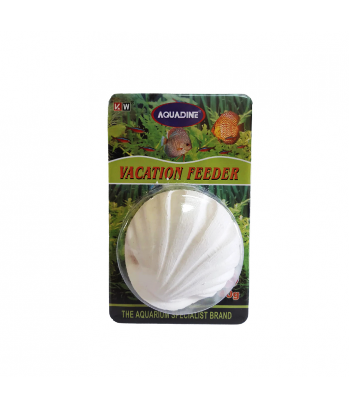 KW ZONE VACATION BLOCK 40G