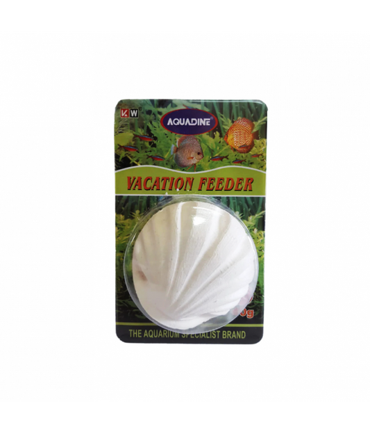 KW ZONE VACATION BLOCK 40G