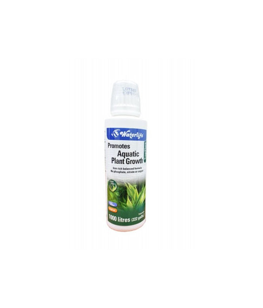 WATERLIIFE TROPIFLORA AQUATIC PLANT GROWTH